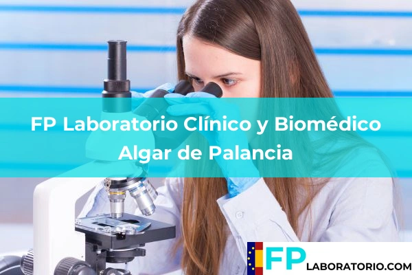 FP Laboratorio Clínico y Biomédico en Algar de Palancia
