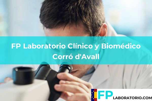 FP Laboratorio Clínico y Biomédico en Corró d'Avall