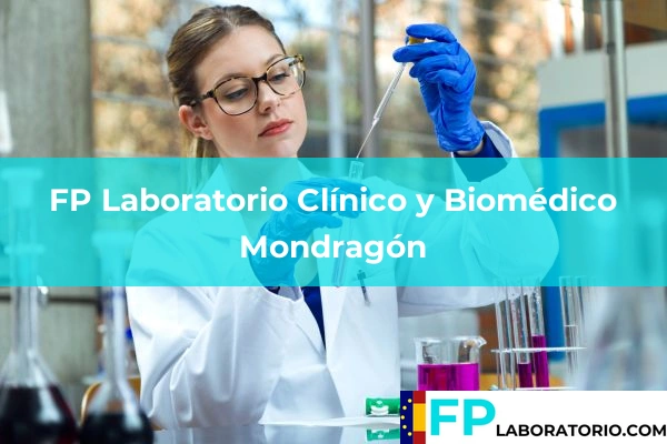FP Laboratorio Clínico y Biomédico en Hernani 28 FP Laboratorio Clínico y Biomédico en Mondragón